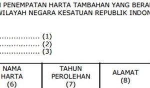 PERLUKAH PENYAMPAIAN LAPORAN PENEMPATAN HARTA TAMBAHAN PADA TAHUN 2021?